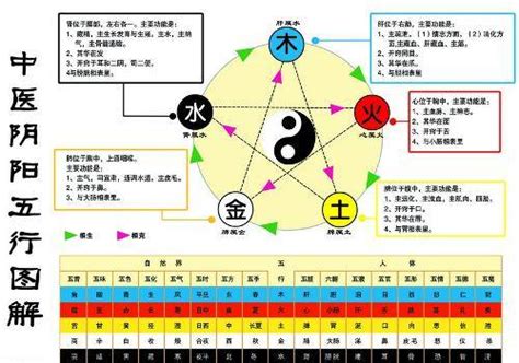 金和水|怎样理解五行理论中的“金生水”？